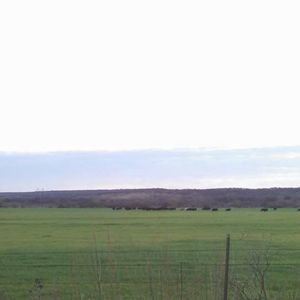 Meet your Posher, Kellie